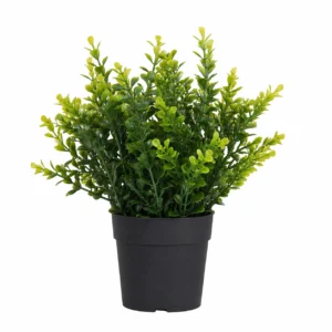 Flowerexchange Artificial Light Green Shrub in Black Pot